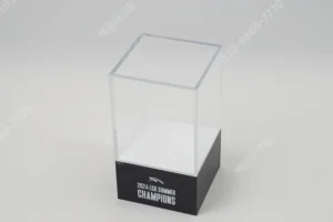 acrylic box+acrylic case