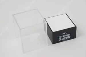 acrylic box+acrylic case